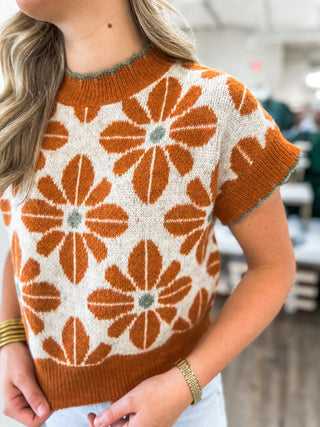Rust Daisy Lane Knit Sweater Top
