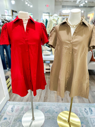 Taupe Charm Button Down Collared Dress