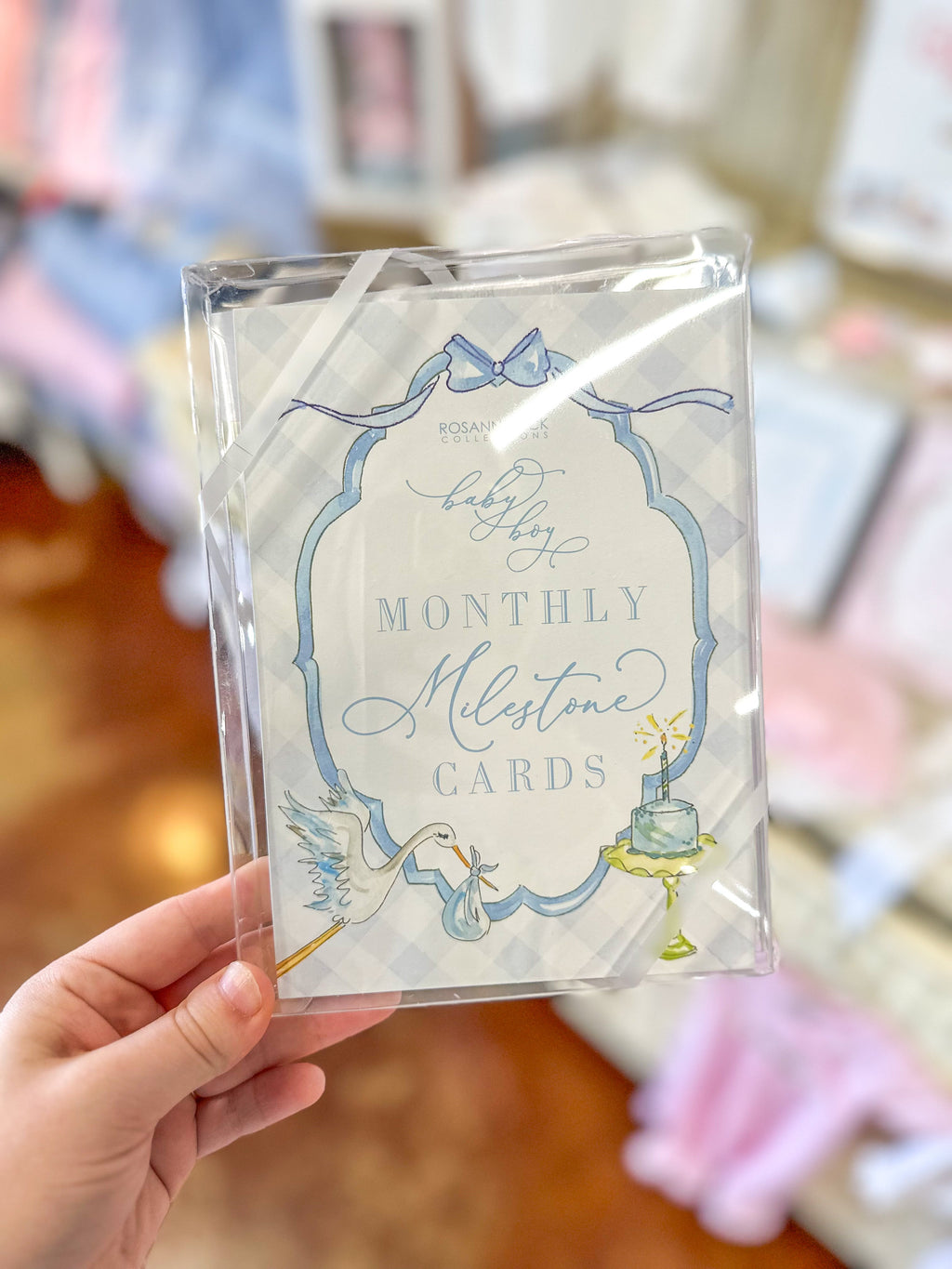 Baby Boy Gingham Watercolor Milestone Cards – Everyday EDEN Boutique ...