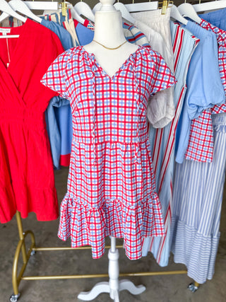 Lillian Gingham Red/Blue Mini Dress