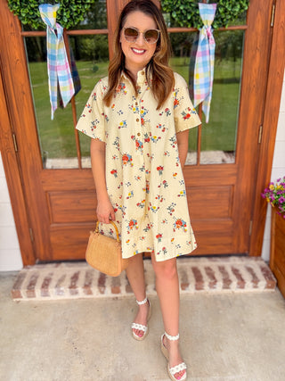 The Rosy Afternoon Collared Mini Dress