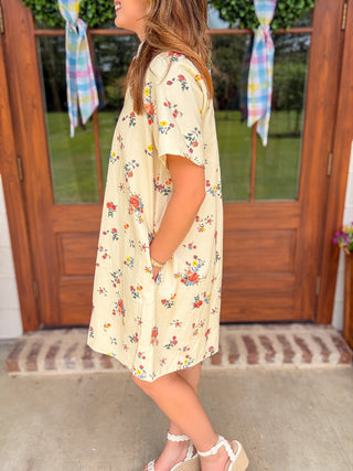 The Rosy Afternoon Collared Mini Dress