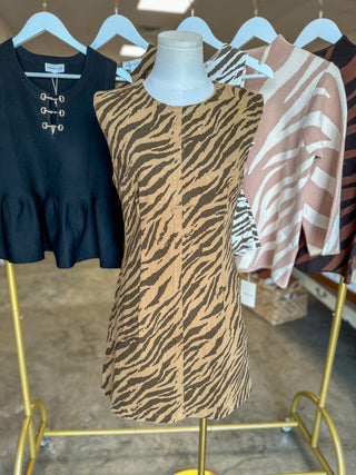 Brown Wild Stripes Shift Style Mini Dress