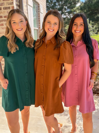 Camel Charm Button Down Collared Mini Dress