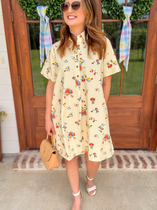 The Rosy Afternoon Collared Mini Dress