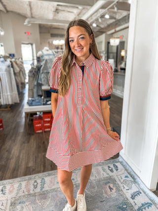 Brick Sophisticated Stripes Mini Dress
