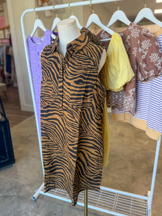 Tiger Town Stripe Button Down Mini Dress