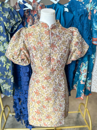 Vintage Rose Puff Sleeve Mini Dress