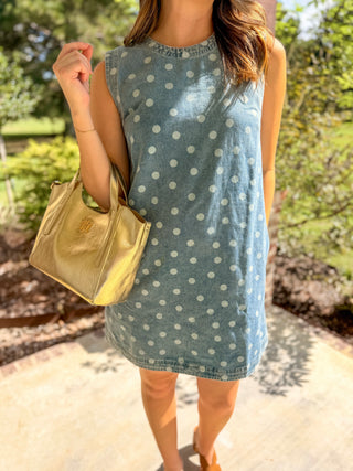 The Denim Dottie Days Mini Dress
