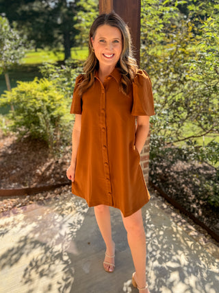 Camel Charm Button Down Collared Mini Dress