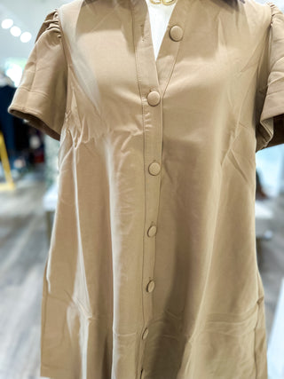 Taupe Charm Button Down Collared Dress