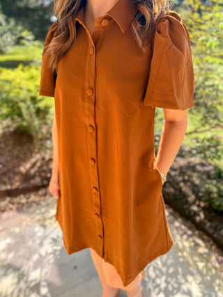 Camel Charm Button Down Collared Mini Dress