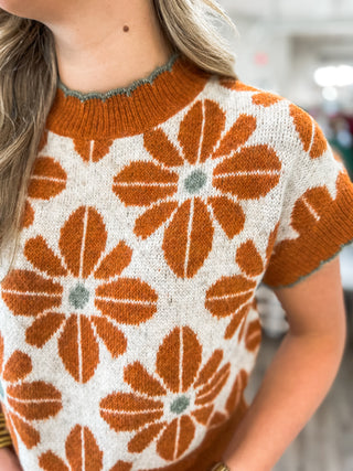 Rust Daisy Lane Knit Sweater Top