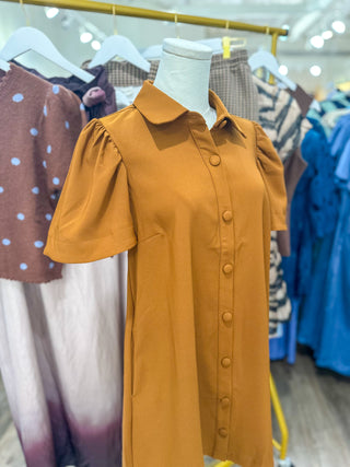 Camel Charm Button Down Collared Mini Dress