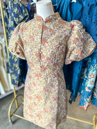 Vintage Rose Puff Sleeve Mini Dress