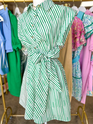 Greenline Stripe Tie-Waist Mini Dress