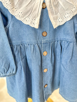 Eyelet Collar Denim Dress
