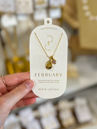 February Amethyst Birthstone Necklace