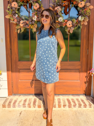The Denim Dottie Days Mini Dress