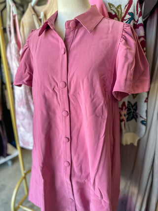 Mauve Charm Button Down Collared Mini Dress