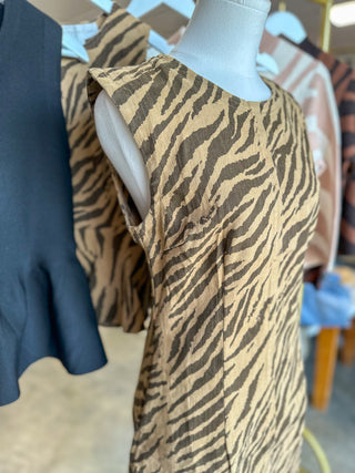 Brown Wild Stripes Shift Style Mini Dress