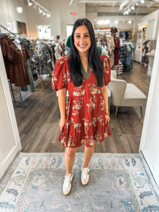 Willow Breeze Brick Mini Dress
