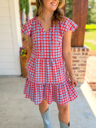 Lillian Gingham Red/Blue Mini Dress