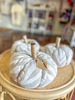 Small Zebra Pumpkin Sitter - Everyday EDEN Boutique & Gifts