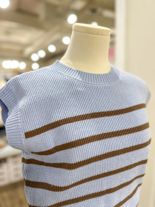 Sweetest Sass Blue/Brown Sleeveless Striped Sweater Top - Everyday EDEN Boutique & Gifts